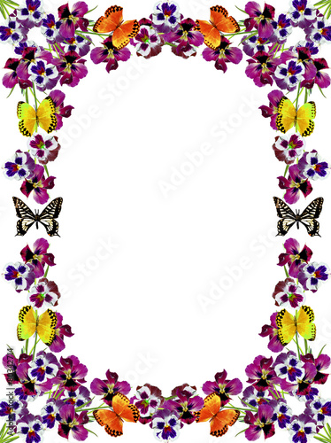 Pansy Violet with Green Leaves on white background. frame