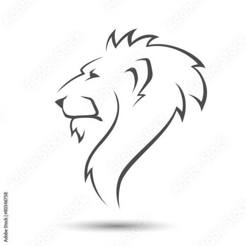 Lion head