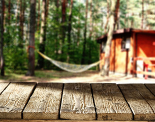 Stickers Kamperen Kampeerplek in rustig groen bos  © magdal3na