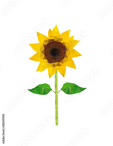 Illustration of polygonal sunflower