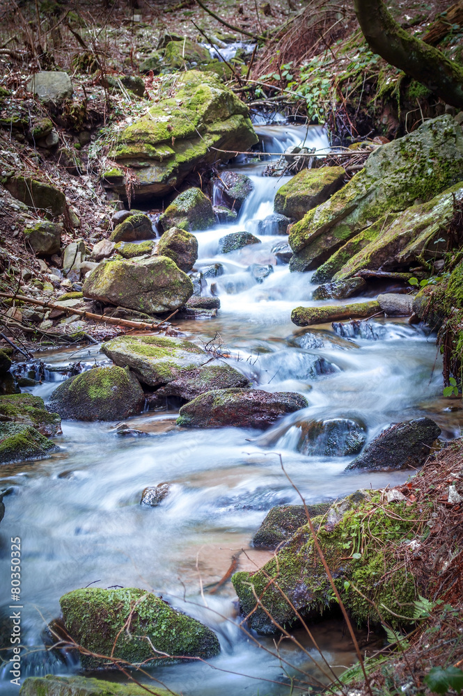 Obraz premium Autumn brook cascade