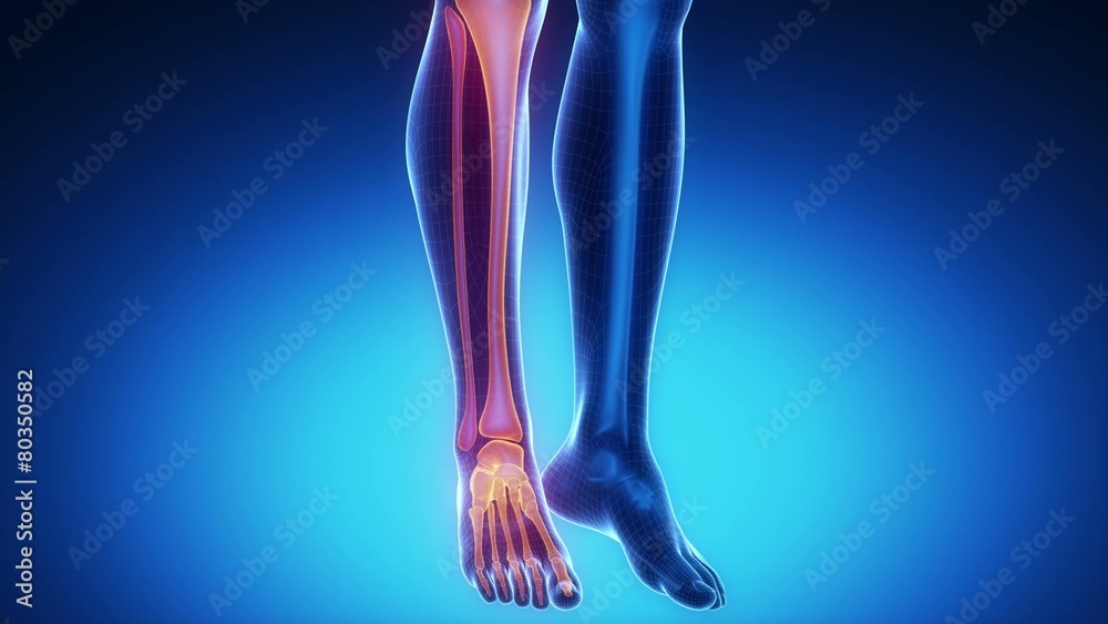 ANKLE joint skeleton x-ray scan in blue ANKLE joint skeleton x-ray scan in blue