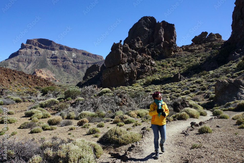 Naklejka premium Wanderung an den Roques de Garcia