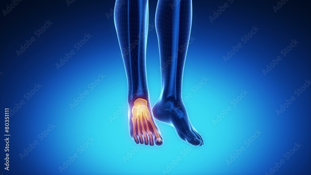 ANKLE bone skeleton x-ray scan in blue ANKLE bone skeleton x-ray scan in blue