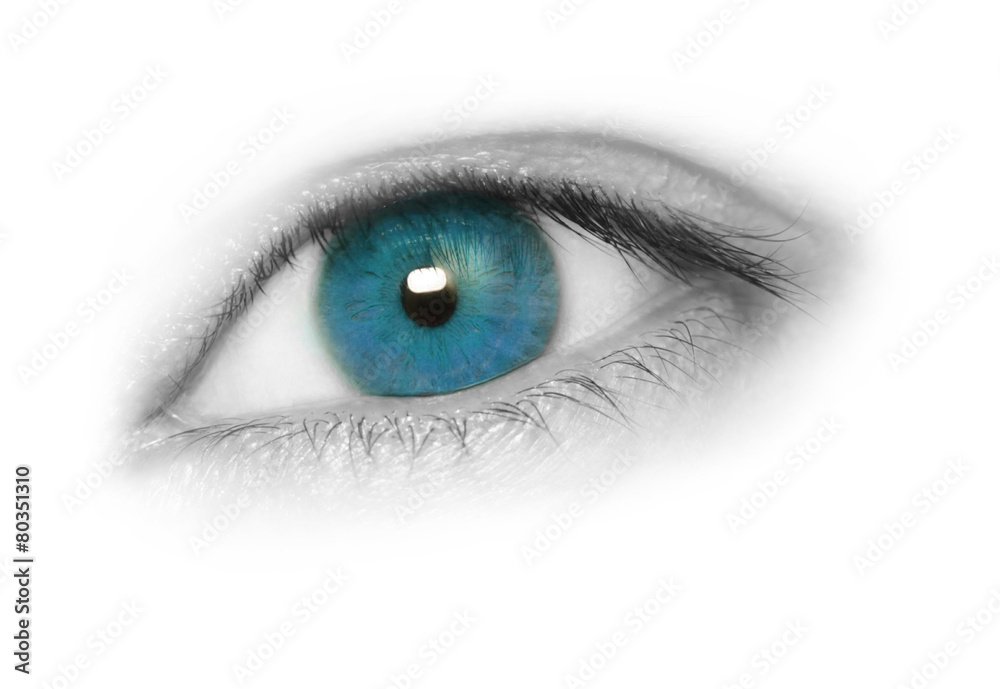 Fototapeta premium Blue eye, isolated on white background. Macro shot