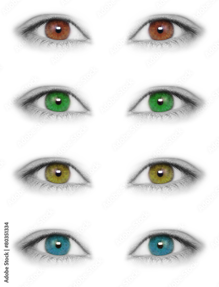 Eyes isolated on white background
