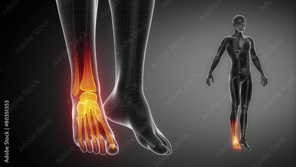 ANKLE joint skeleton x-ray scan in black ANKLE joint skeleton x-ray scan in black
