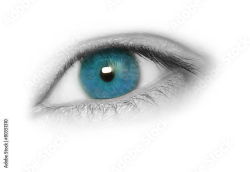 Blue eye  isolated on white background. Macro shot