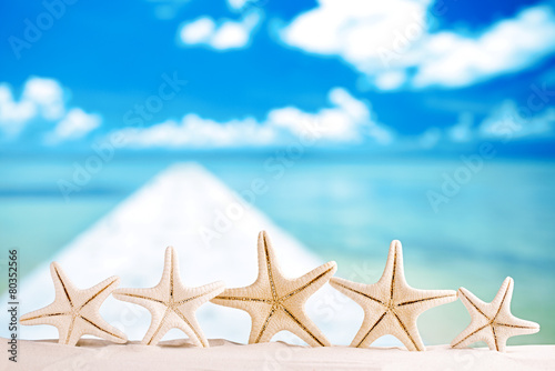 white starfish with ocean, white sand beach, sky and seascape