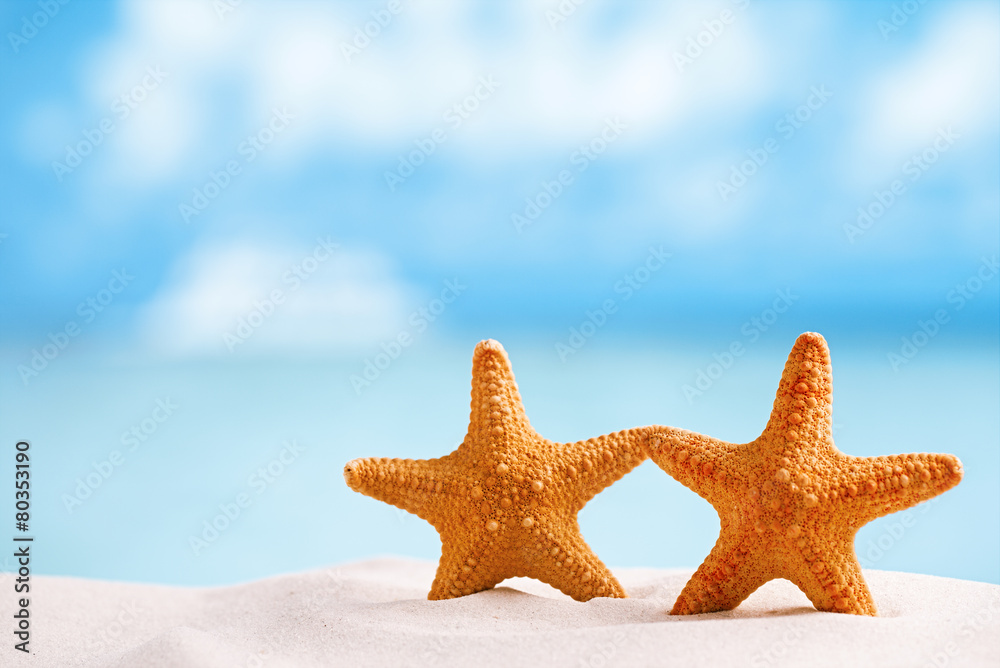 red starfish with ocean, beach, sky and seascape, shallow dof red starfish with ocean, beach, sky and seascape, shallow dof