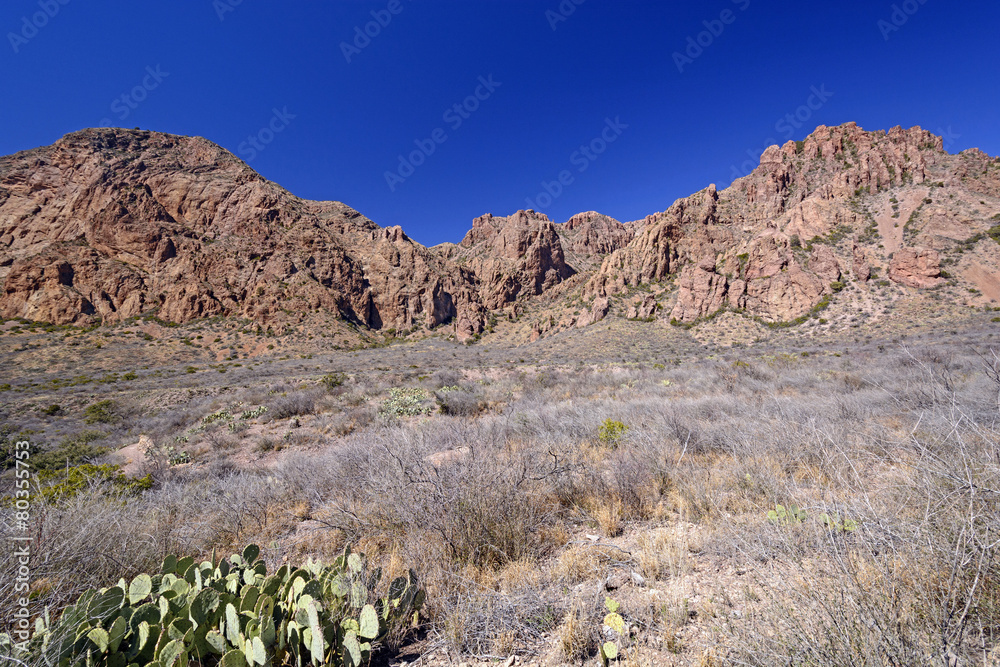 Desert Panorama in the Early Spring