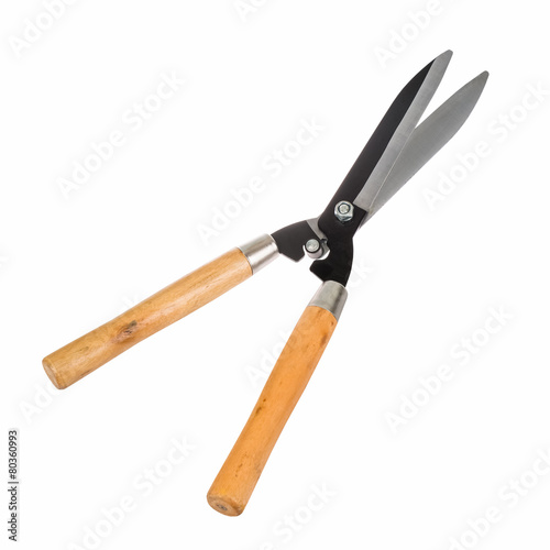 gardening scissor isolated