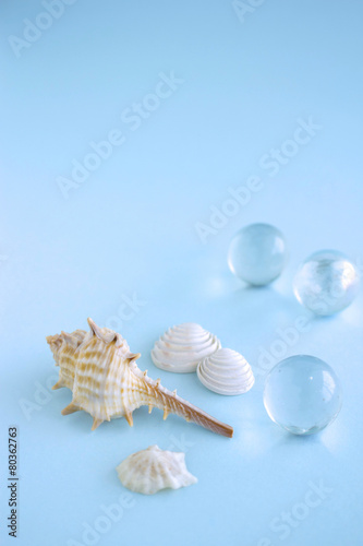 貝とビー玉 海のイメージ