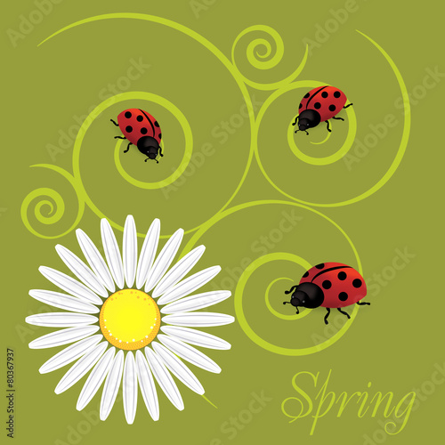 spring background with dandelions and ladybug
