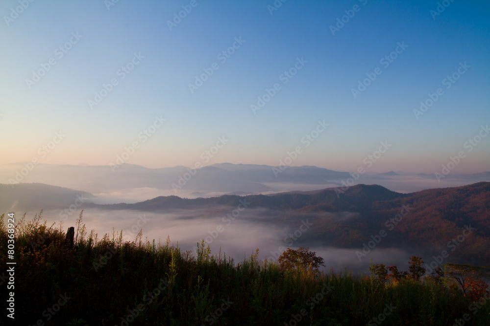 Sea of mist