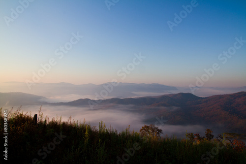 Fototapeta Naklejka Na Ścianę i Meble -  Sea of mist