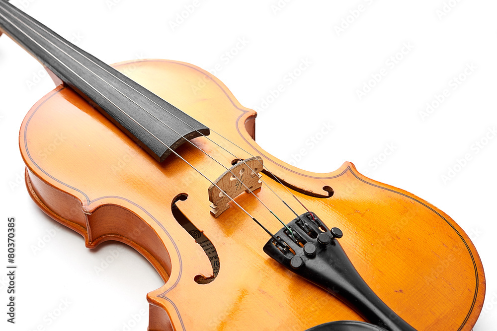 violin on white background violin on white background