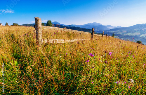 grass field in the mountains