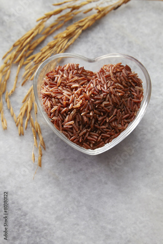 brown rice and paddy