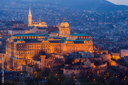 Budapest castle © Kavita