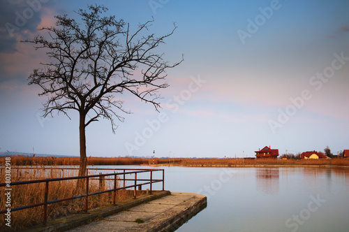 Amazing lake landscape © Creaturart