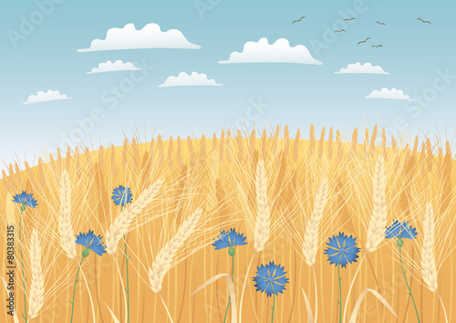 Grain fields