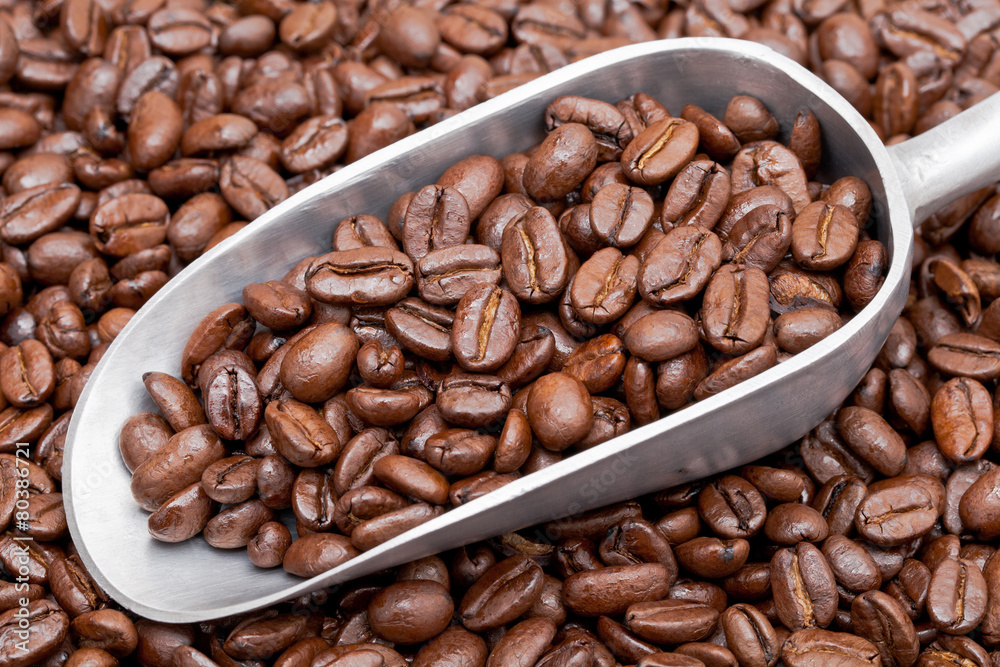 Fototapeta premium Coffee