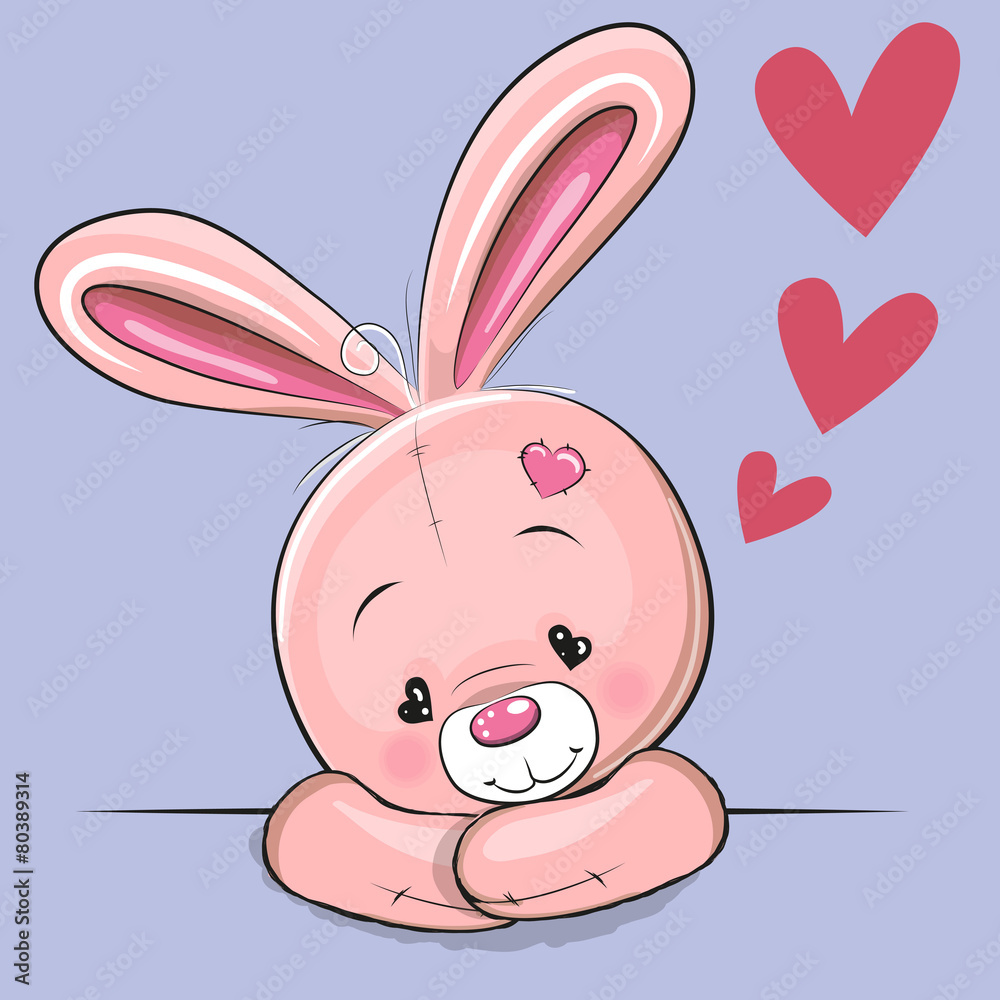 Fototapeta premium Cute Rabbit