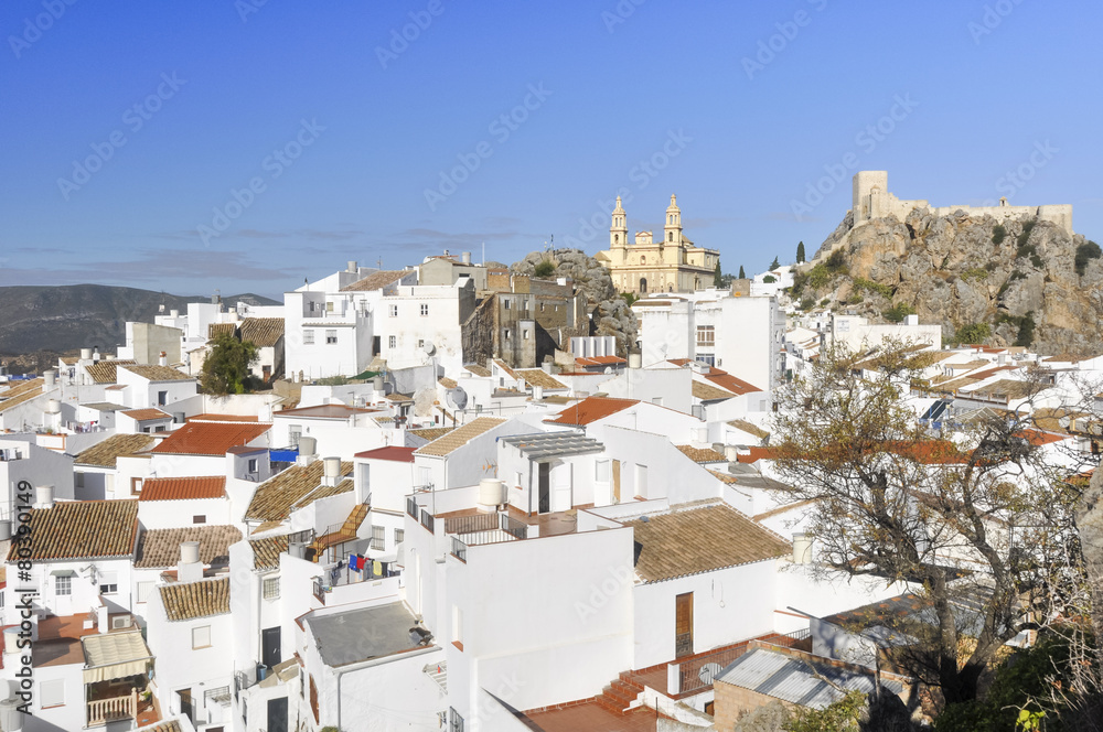 White town of Olvera, Cadiz (Spain)