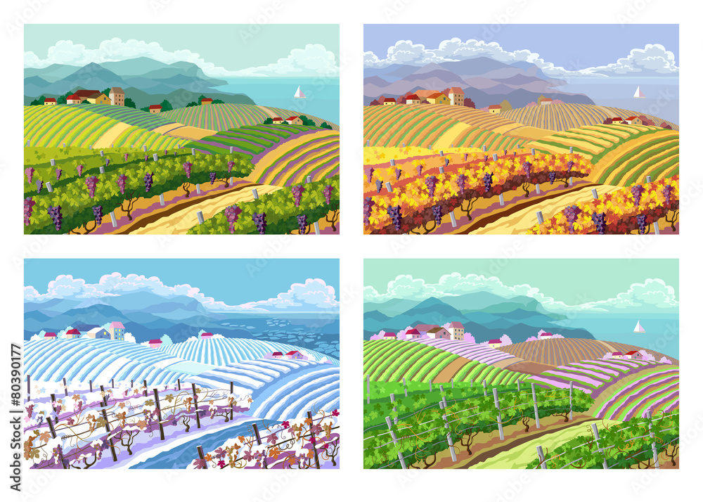 Fototapeta premium Four seasons. Rural landscapes.