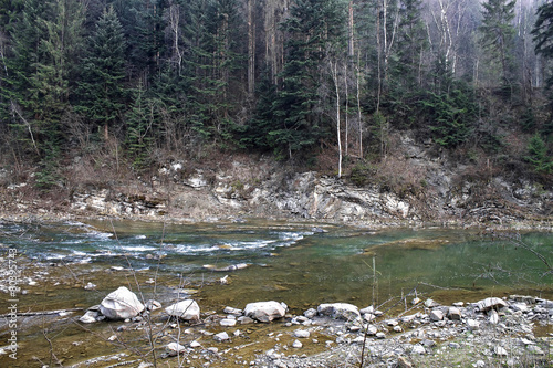 river flowing under a mountain with a spring forest