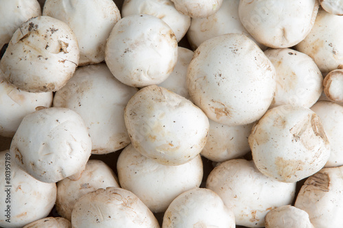 Background of whole fresh white button mushrooms