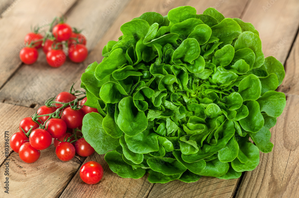 Wurzelsalat Salanova Wurzelsalat Salanova