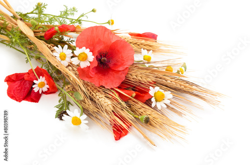 Wheats and poppies in bouquet.