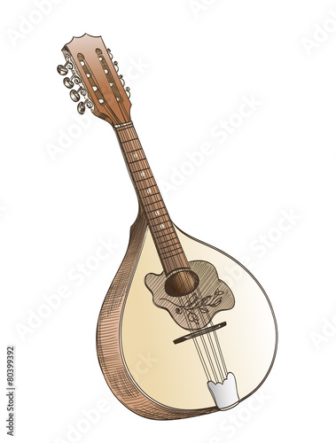 mandolin hand drawing  on white