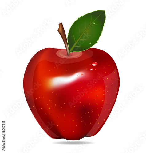 Apple isolated logo vector