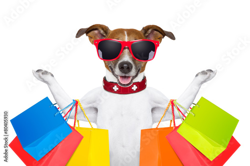 Fototapeta Naklejka Na Ścianę i Meble -  shopping dog