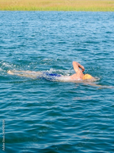 Open Water Swimmer