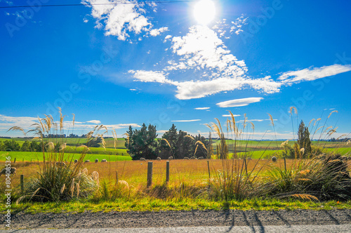 Sun and Blue sky green hill in New Zealand photo