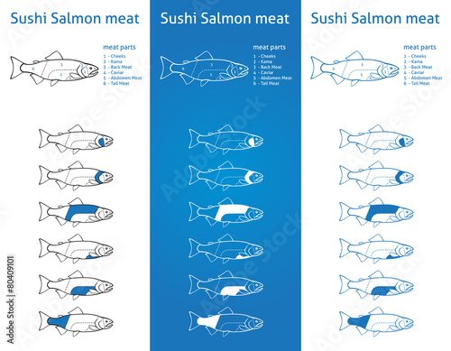 Sushi salmon meat diagram