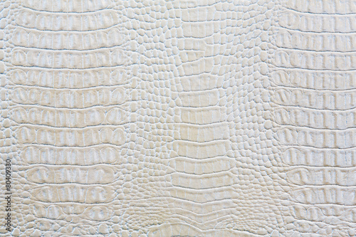 Crocodile skin white leather background