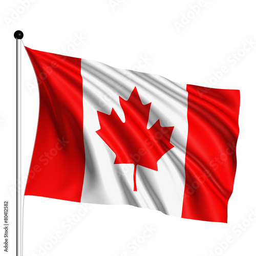 Canada flag with fabric structure on white background