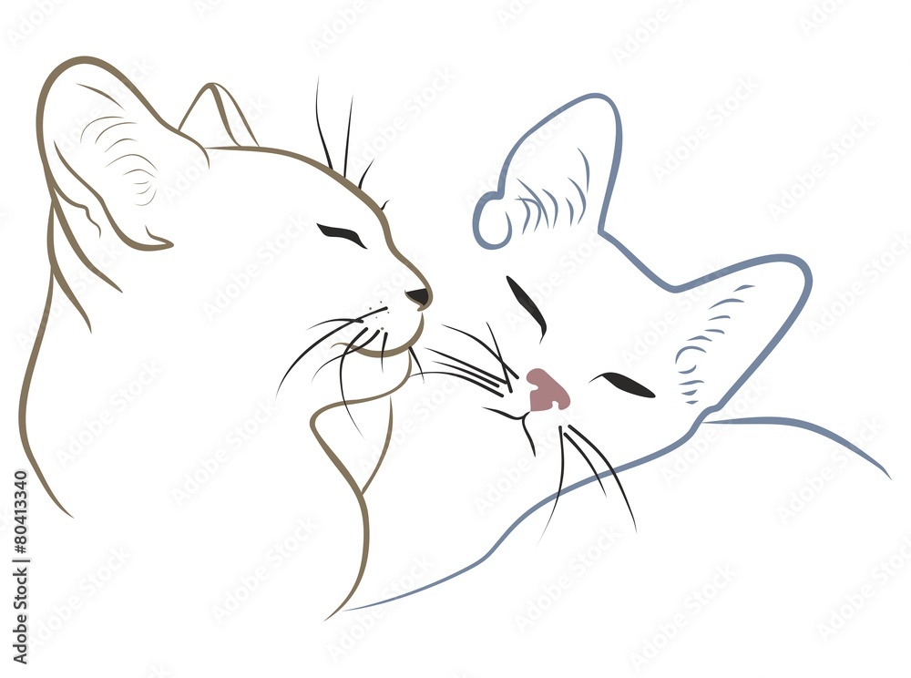 Кошки Кошки