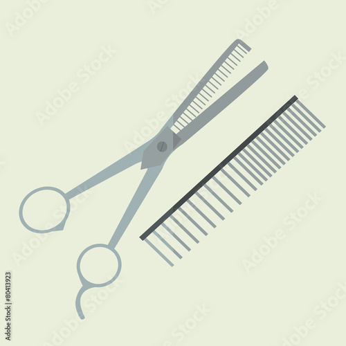 Scissors and Comb photo