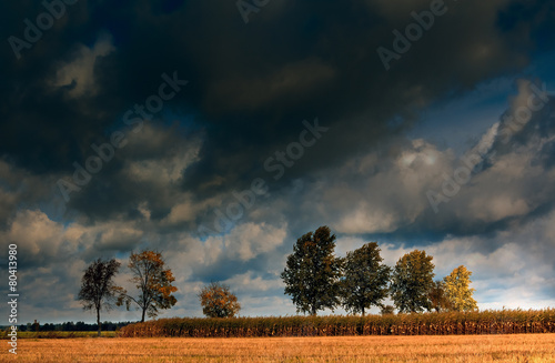 Uroki Jesiennego Podlasie - Polska photo