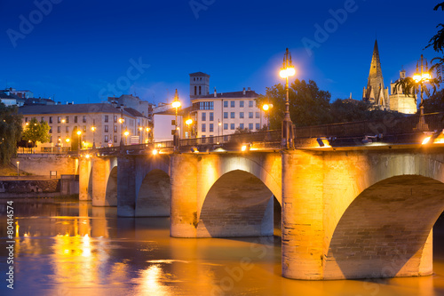 bridge (Puente da Piedra) over Ebro  in night. Logrono