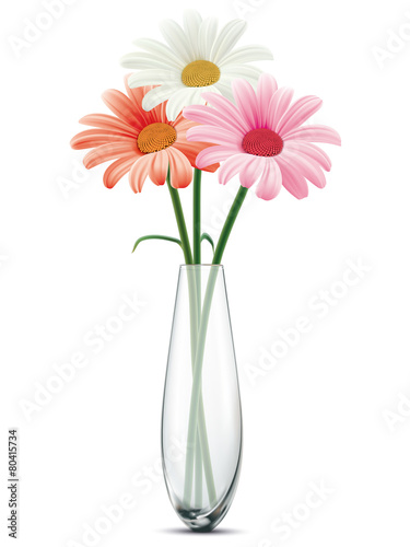 Fototapeta Naklejka Na Ścianę i Meble -  Daisy in a glass vase on a white isolated. Vector illustration
