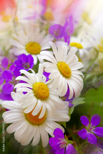 Colorful bouquet of field flowers .