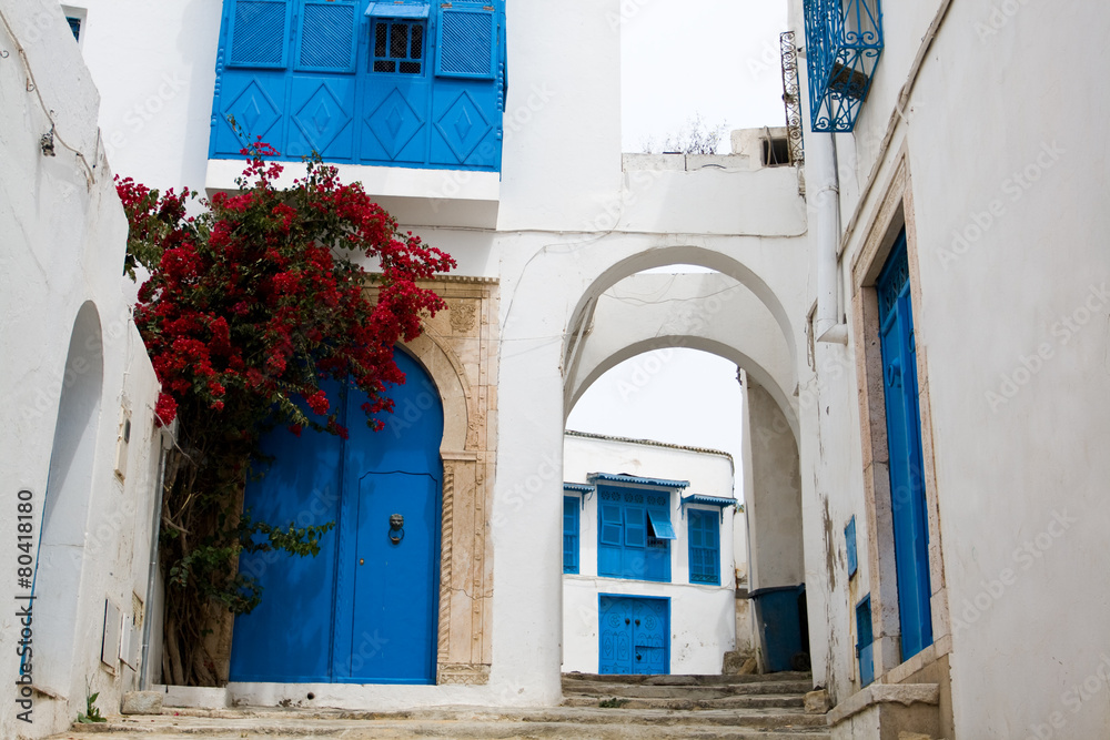 Fototapeta premium Blue doors, window and white wall of building in Sidi Bou Said,