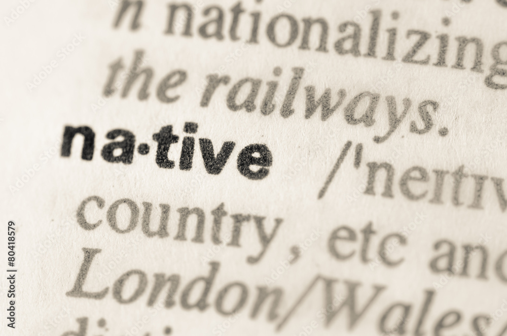 Obraz premium Dictionary definition of word native